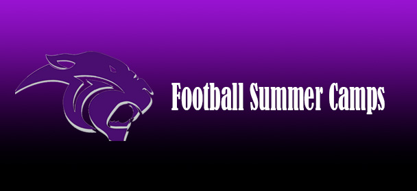  summer football 2025 panther head